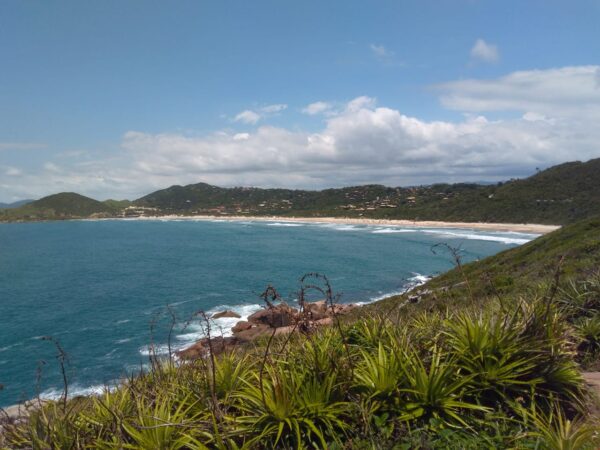 passeios praia do rosa